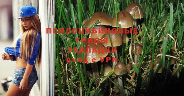 прущий лед Бронницы