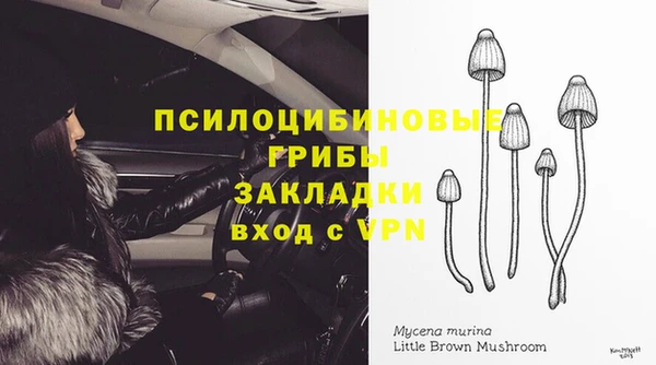 прущий лед Бронницы