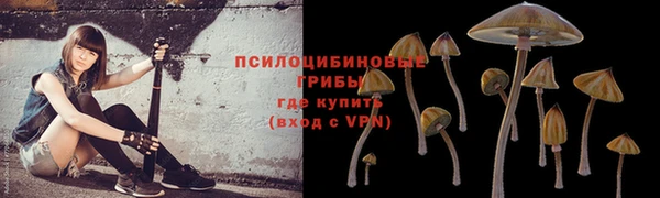 МДМА Беломорск