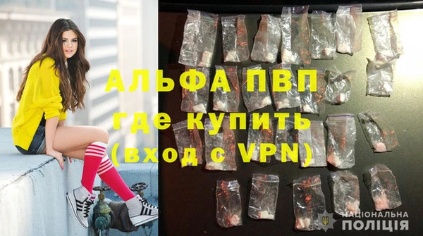 ПСИЛОЦИБИНОВЫЕ ГРИБЫ Бородино