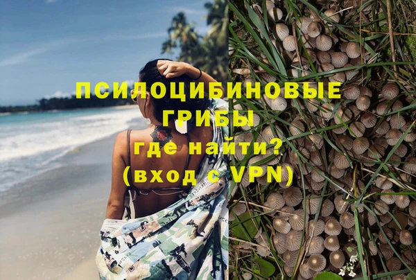 прущий лед Бронницы