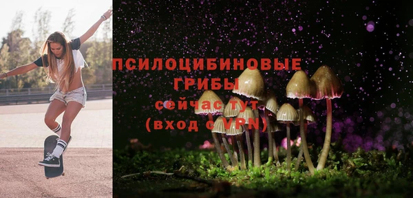 ПСИЛОЦИБИНОВЫЕ ГРИБЫ Бородино