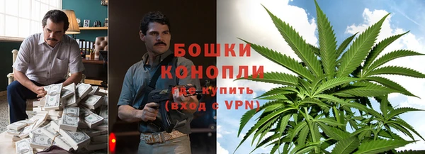 сатива Дмитровск