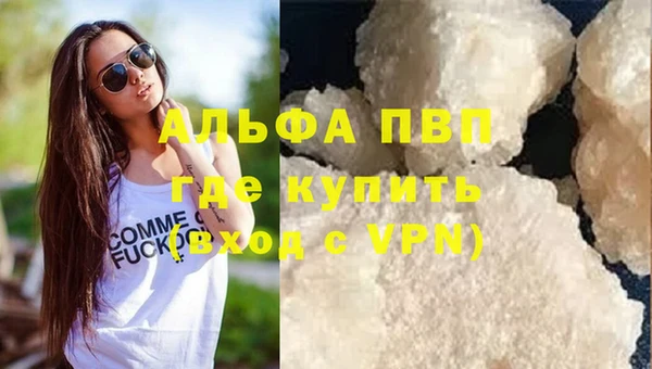 ПСИЛОЦИБИНОВЫЕ ГРИБЫ Бородино